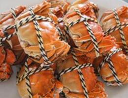 螃蟹怎么保存才新鲜，一般可以放在冰箱里面保存！