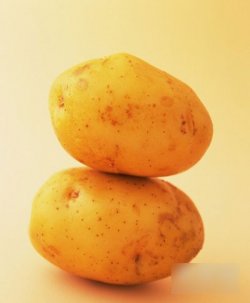 吃土豆减肥吗 要怎么吃土豆才能减肥